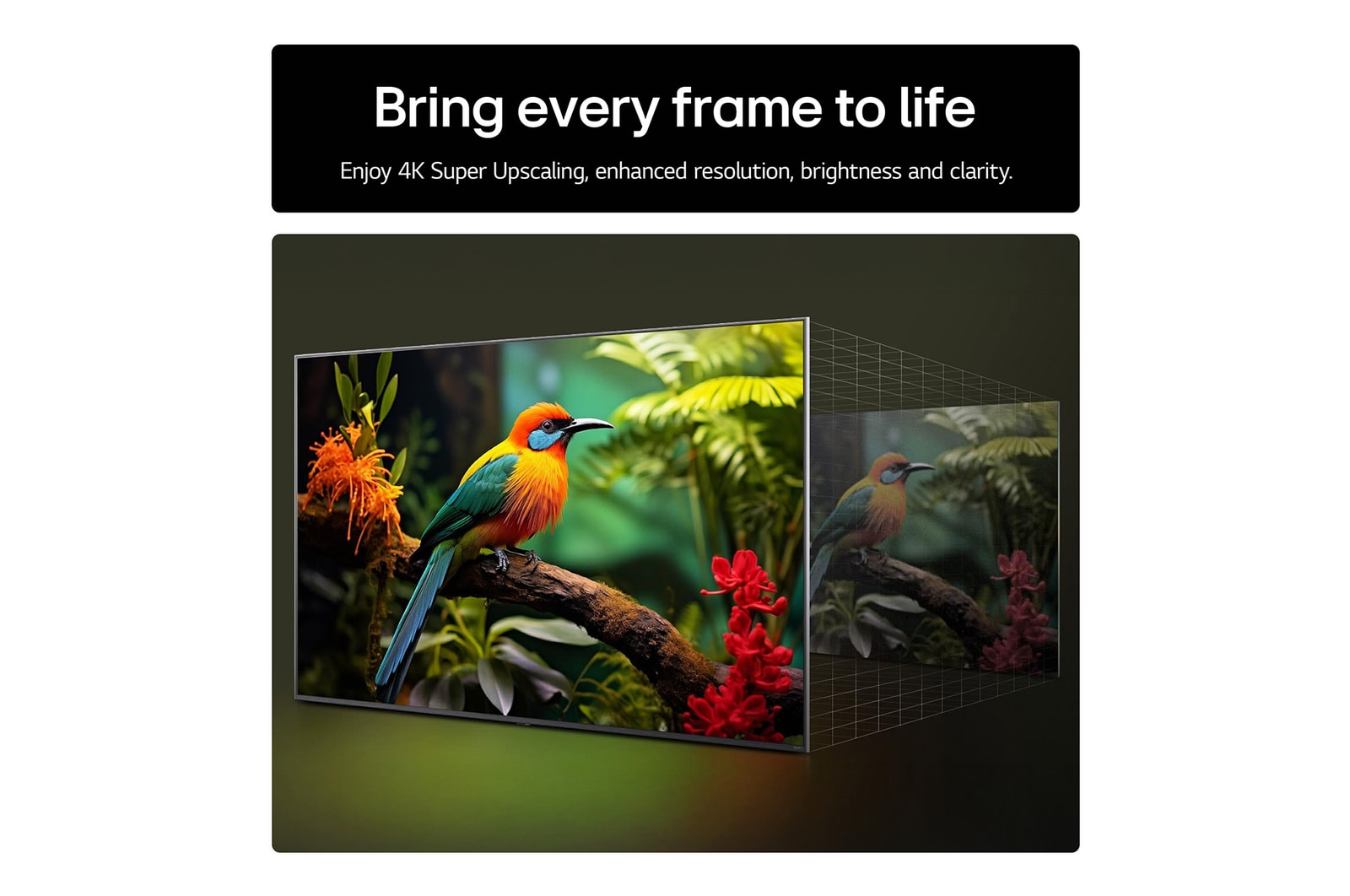 LG 43UA74006LB 43 Inch AI ThinQ UA74 4K UHD HDR Smart TV