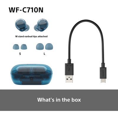 Sony WFC-710N Wireless Noise Cancelling Bluetooth Earbuds Glass Blue