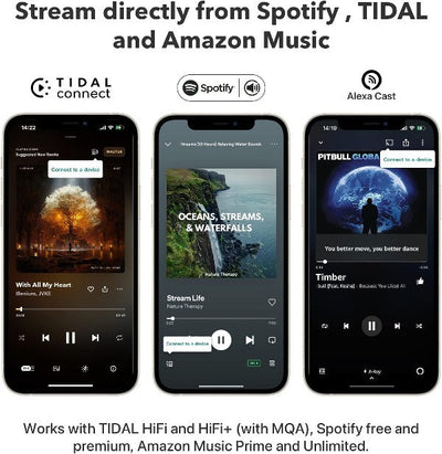 WiiM Pro Audiophile Grade Multi-Room Music Streamer